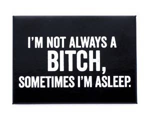 I'M NOT ALWAYS A BITCH MAGNET