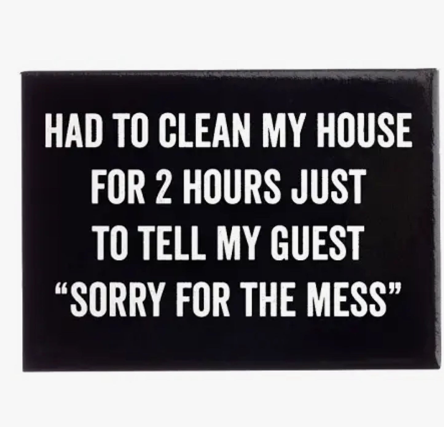 HAD TO CLEAN MY HOUSE MAGNET