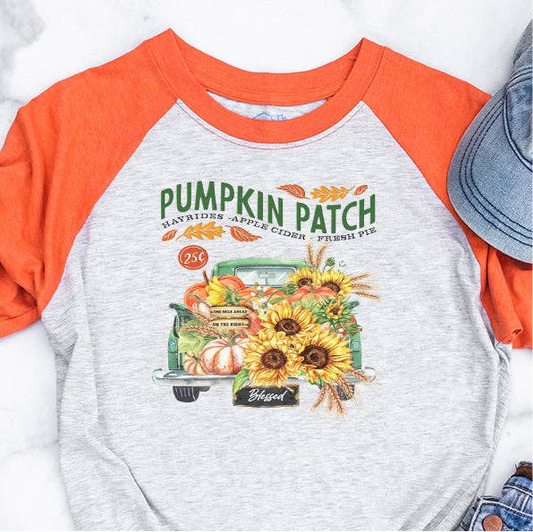 Pumpkin Patch Raglan