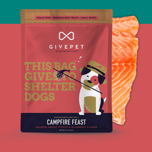 CAMPFIRE FEAST by GIVEPET® Premium Dog Treats - Salmon, Sweet Potato & Blueberry Flavor - Gives to Shelter Dogs