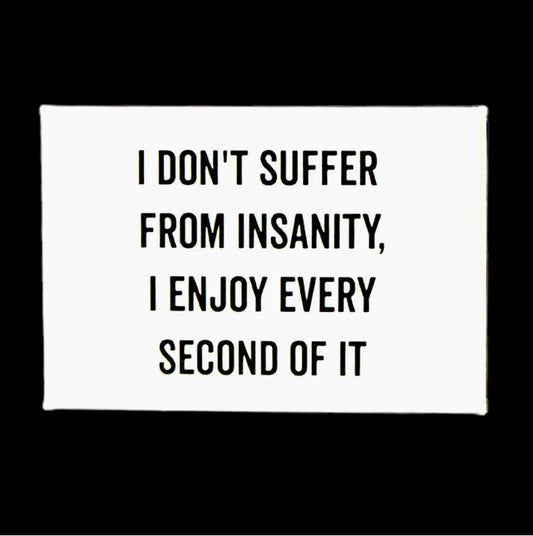 "I DON'T SUFFER FROM INSANITY, I ENJOY EVERY SECOND OF IT" WHITE MAGNET (HIUMOR, FUN, GIFT, UNIQUE)